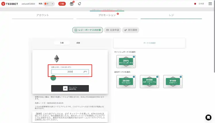 テッドベット 入金画面