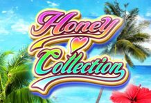 Honey Collection (ハニーコレクション)のヘッダー画像