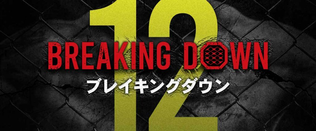ブレイキングダウン12