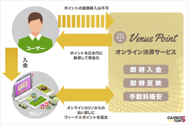ヴィーナスポイント 仕組み