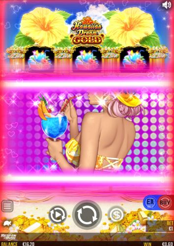 ハワイアンドリームゴールド ボーナスステージ
