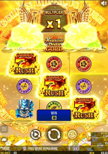 ハワイアンドリームゴールド マルチプライヤー