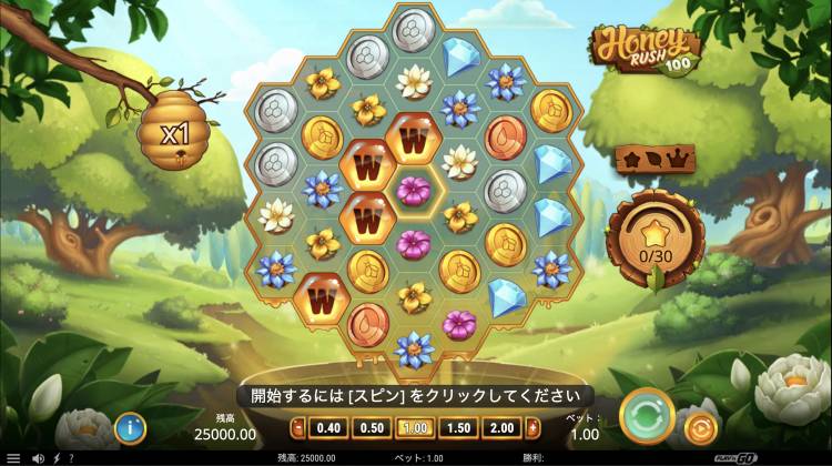 Honey Rush 100 ハニーラッシュ100 プレインゴー Play'n GO オンラインスロット