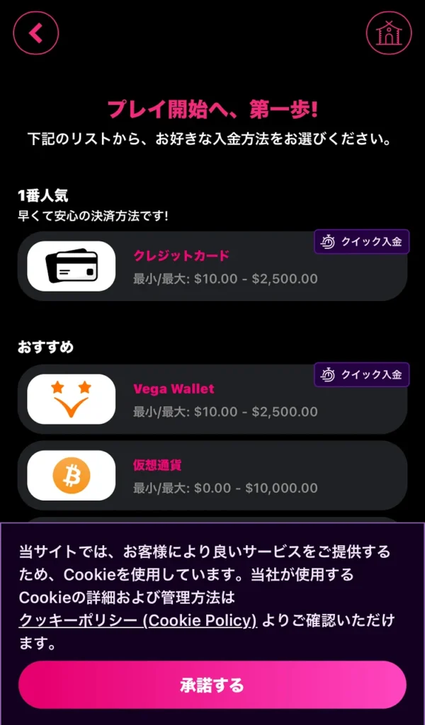 インターカジノ入金方法