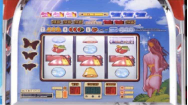 南国育ち
