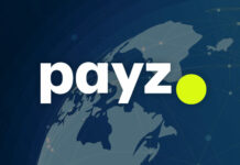 オンラインペイメントサービスPayz